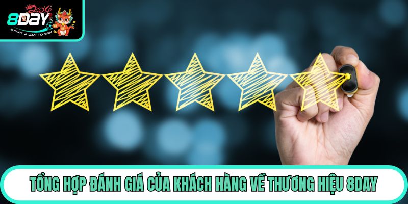 Tổng hợp đánh giá của khách hàng về thương hiệu 8day